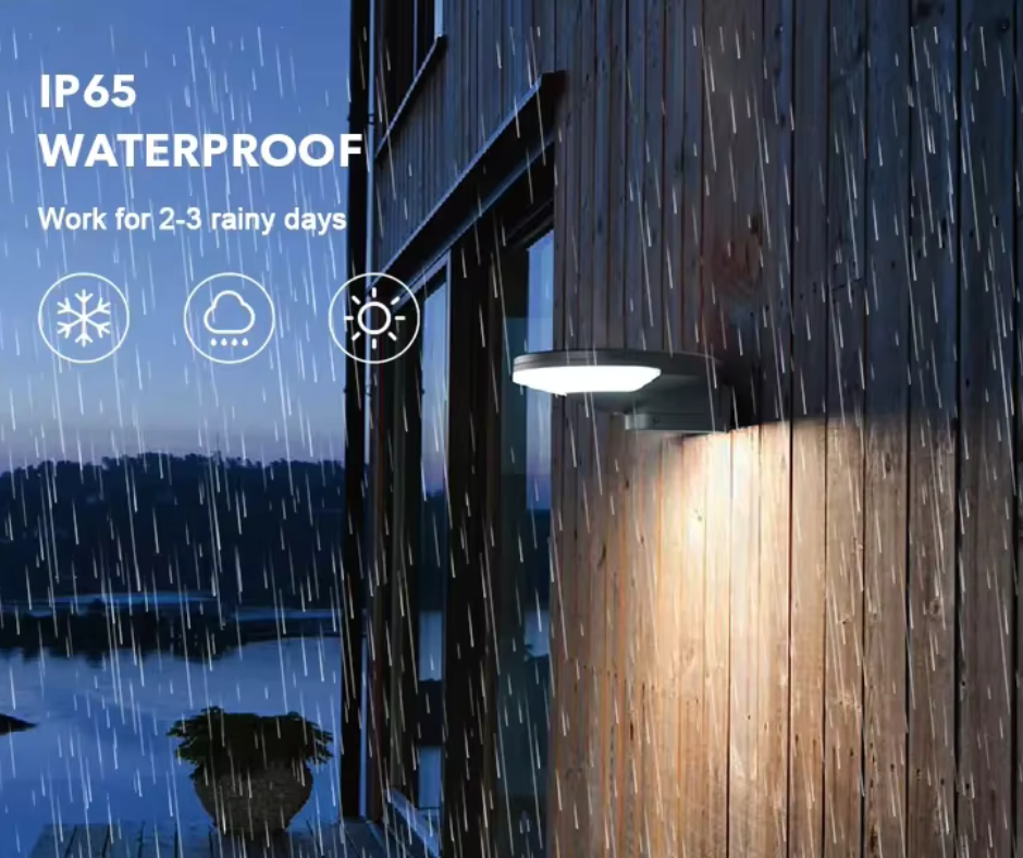 Solar LED Wall Light