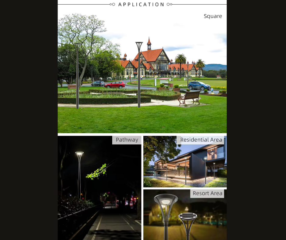 Premium Solar LED Street Light