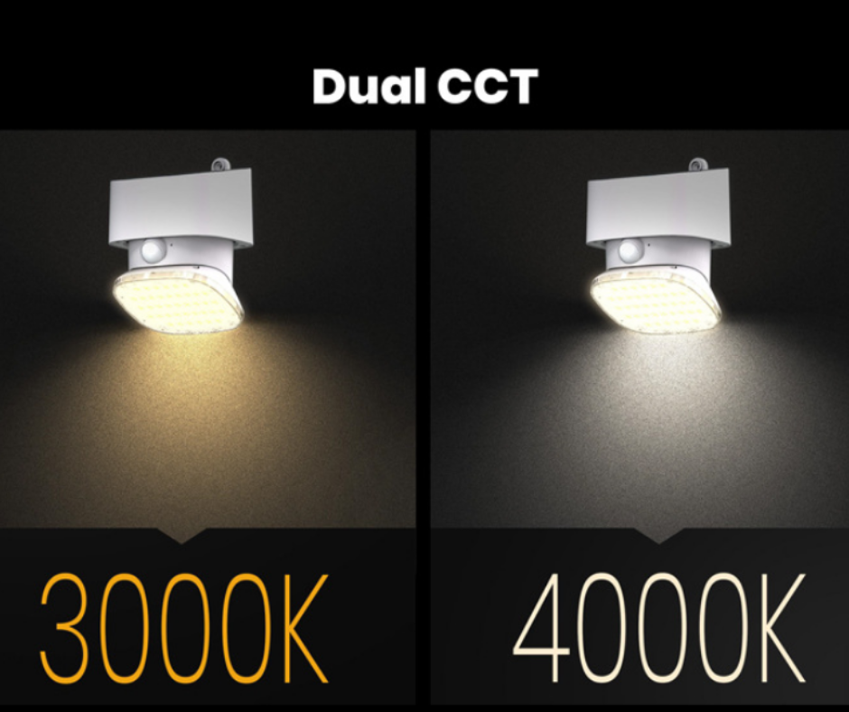 Solar LED Security Light