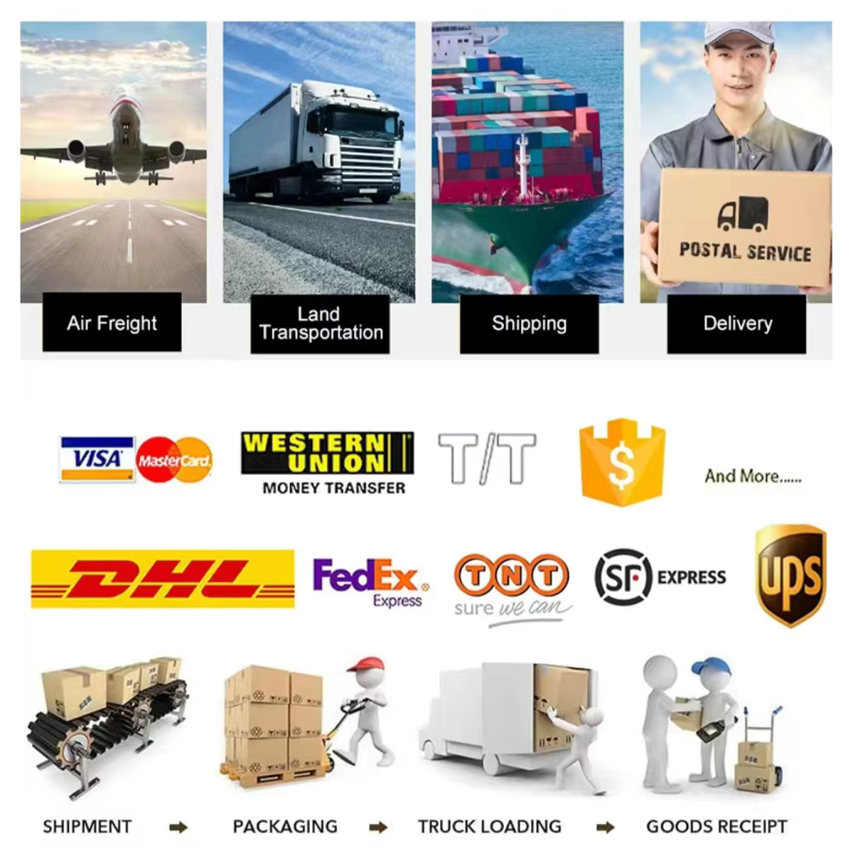 Solar In-Ground Light