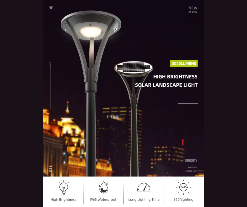 Premium Solar LED Street Light