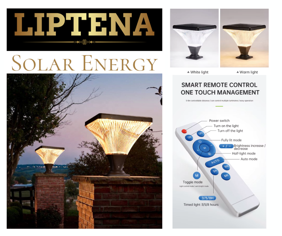 Solar LED Fence Light