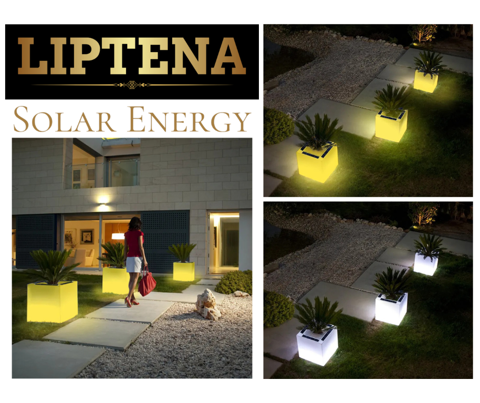 Pot de fleurs solaire à LED