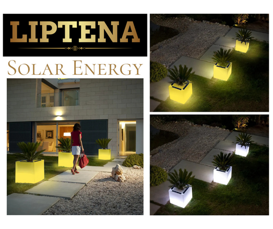 Solar LED Flower Pot