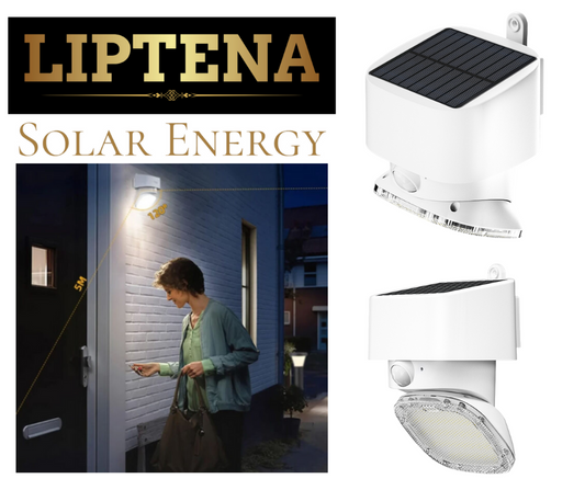 Solar LED Security Light