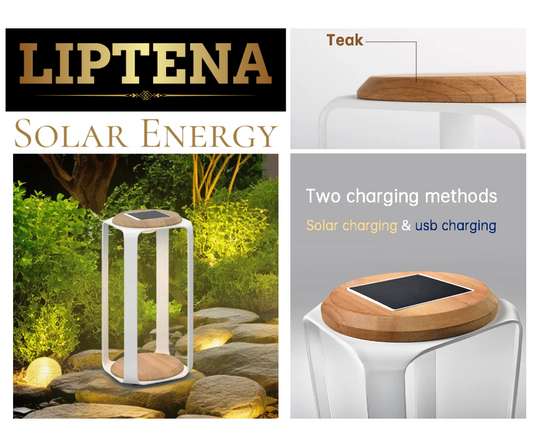 Pegasus LED Solar Lamp