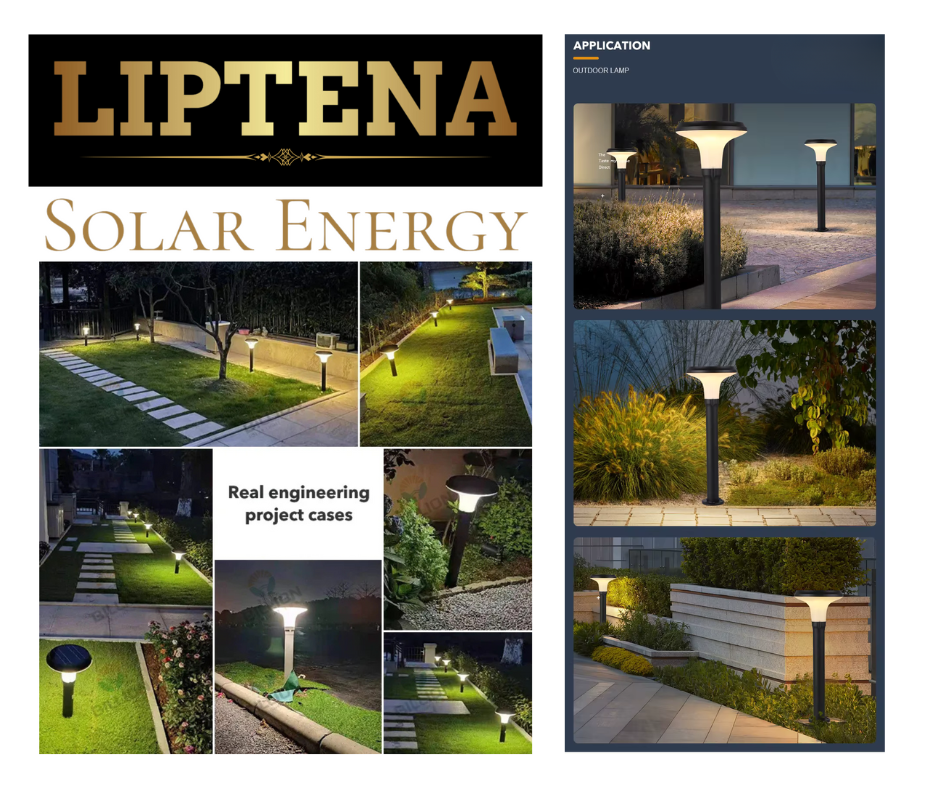 Decorative Solar Garden Lights-application-LIPTENA SOLAR ENERGY