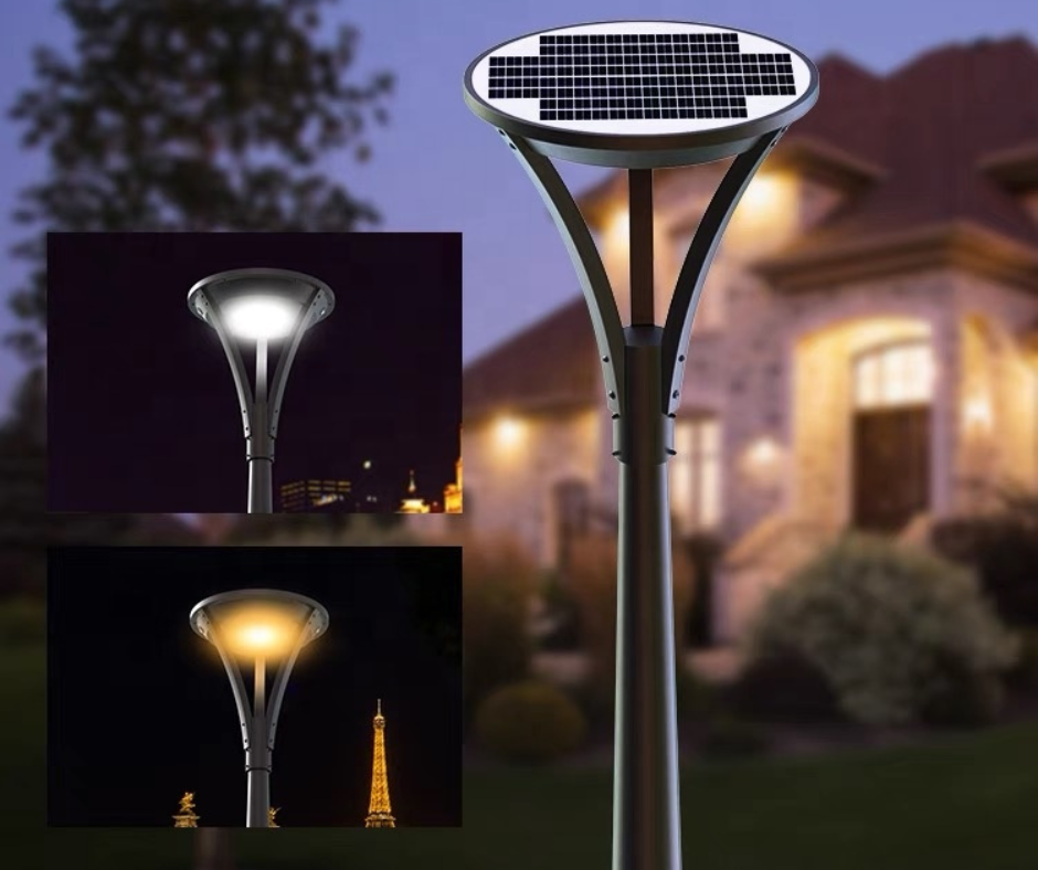 Premium Solar LED Street Light