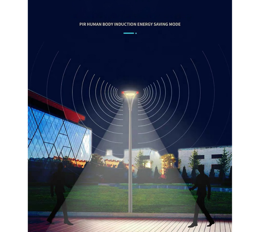 Premium Solar LED Street Light