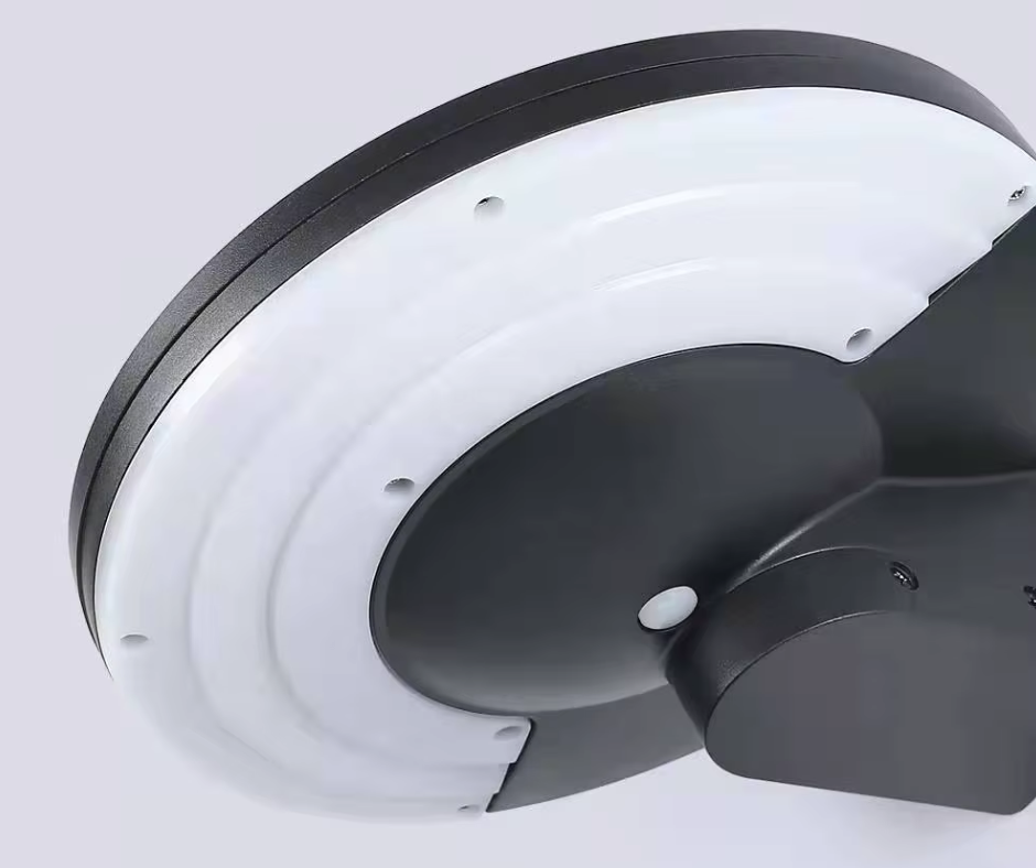 Solar LED Wall Light