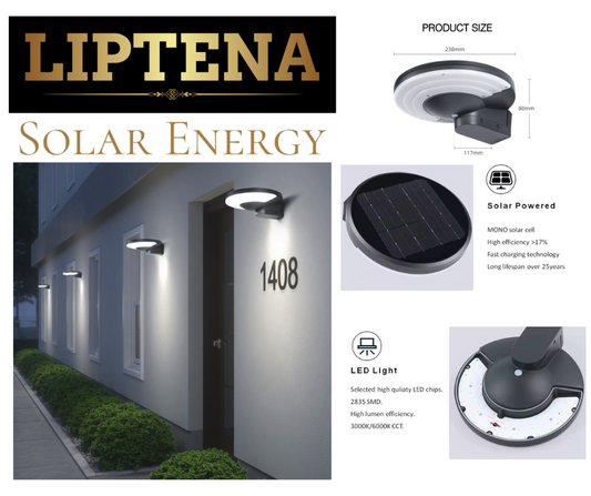 Solar LED Wall Light