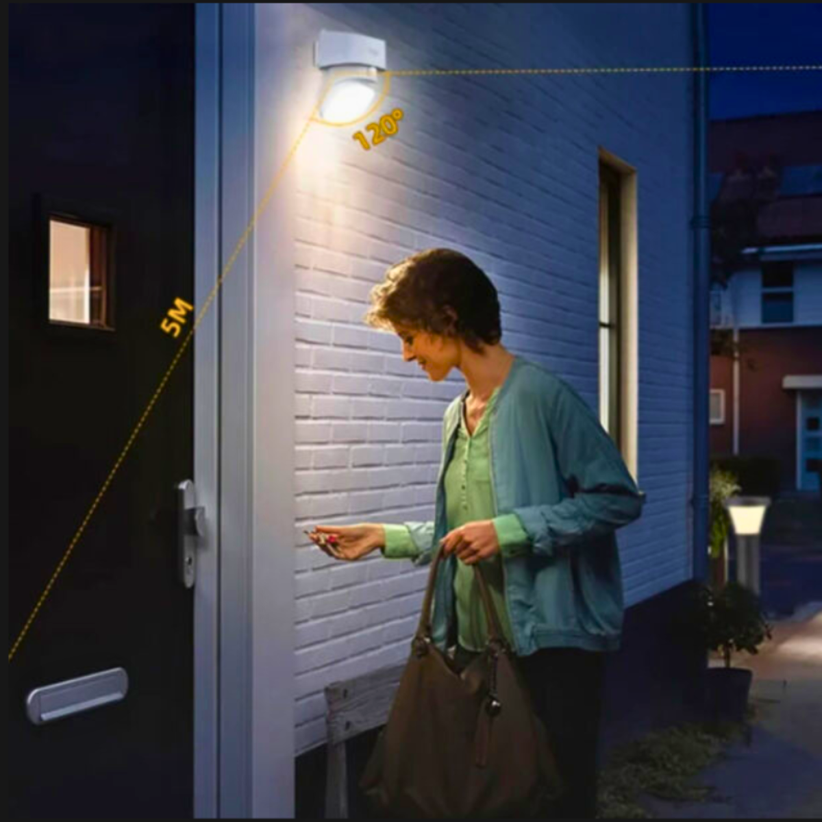 Solar LED Security Light