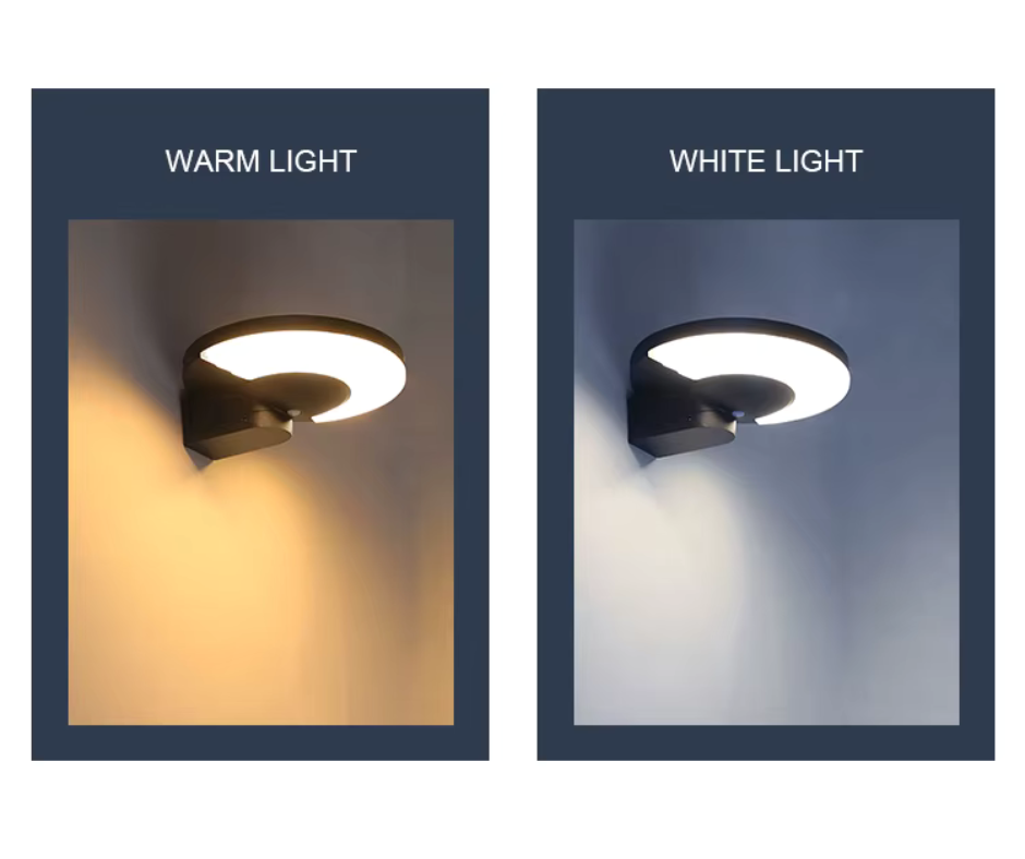 Solar LED Wall Light