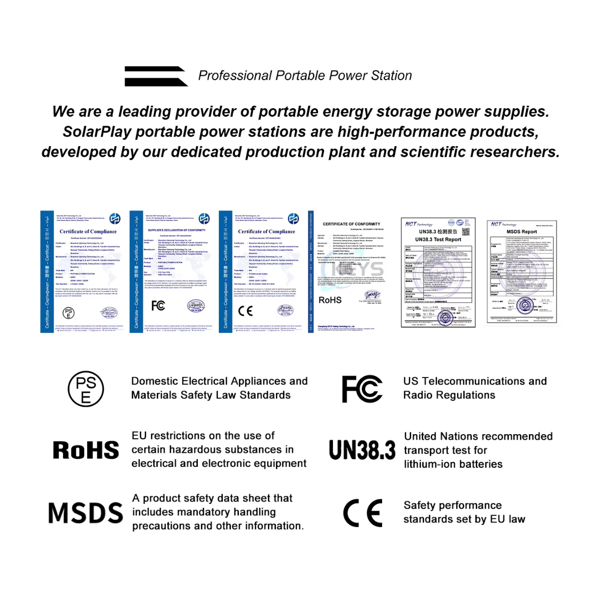 Portable Solar Power Station 100W