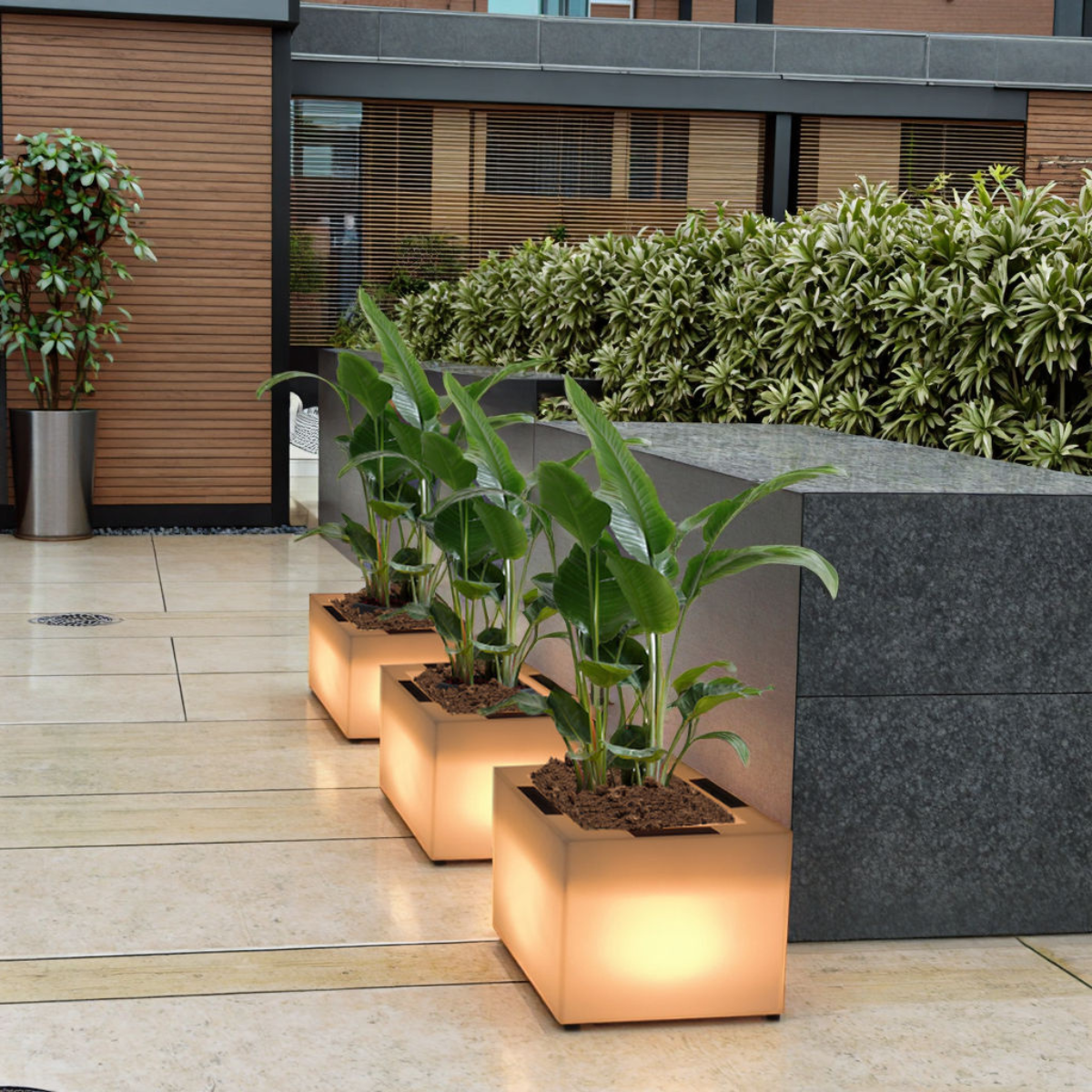 Solar LED Flower Pot