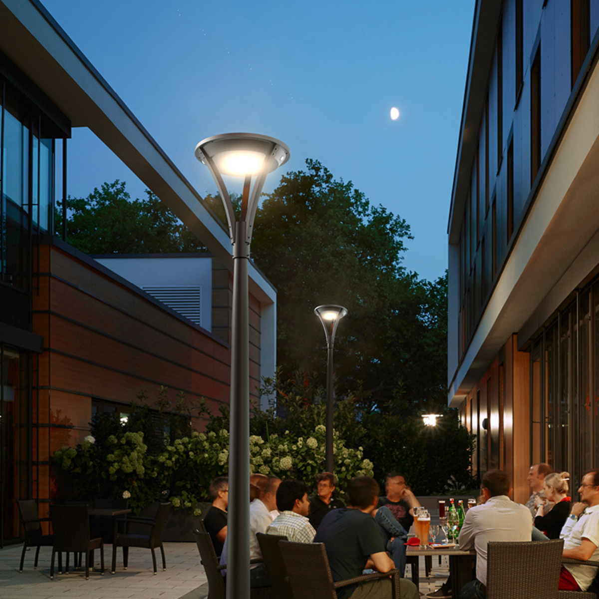 Landscape solar streetlamp