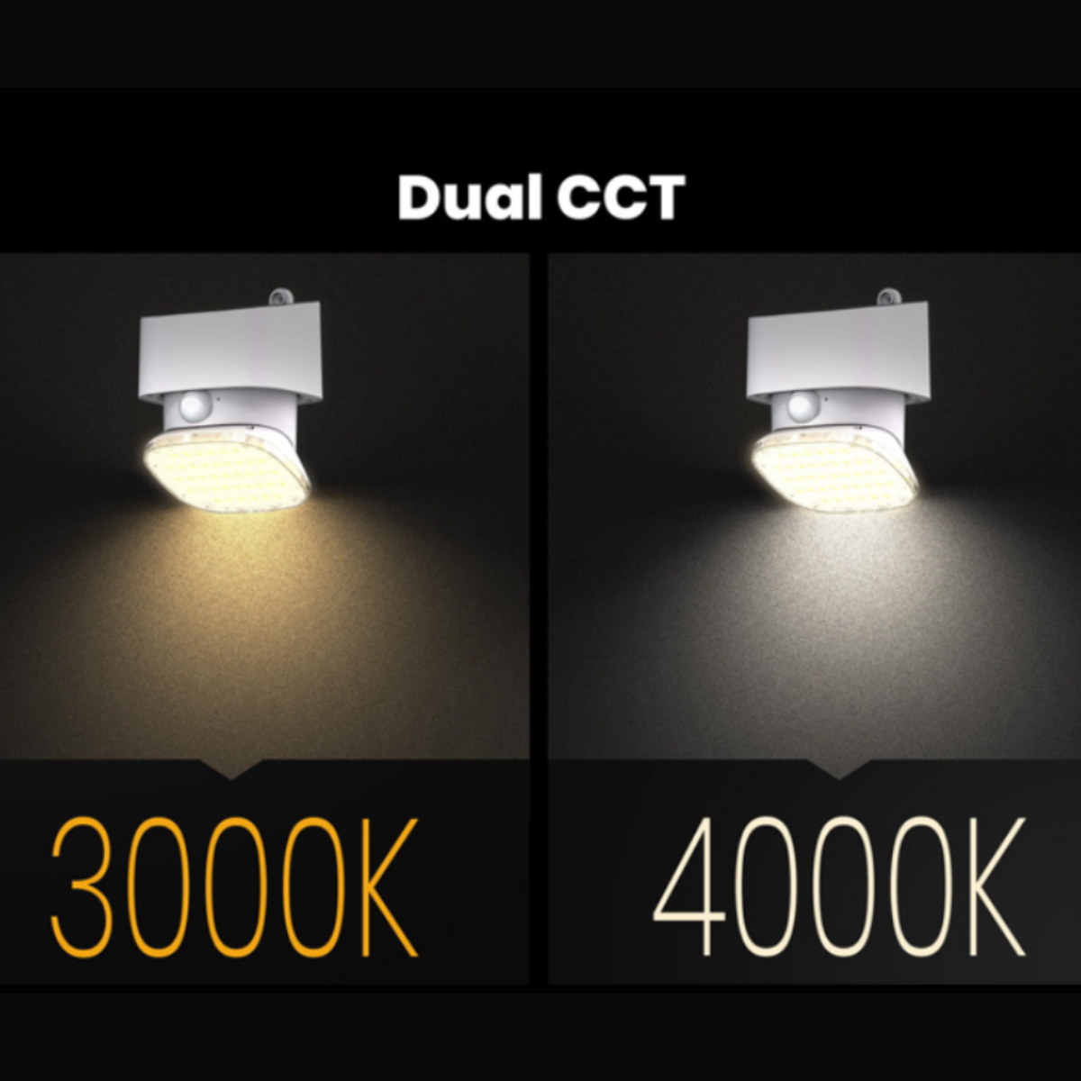 Solar LED Security Light