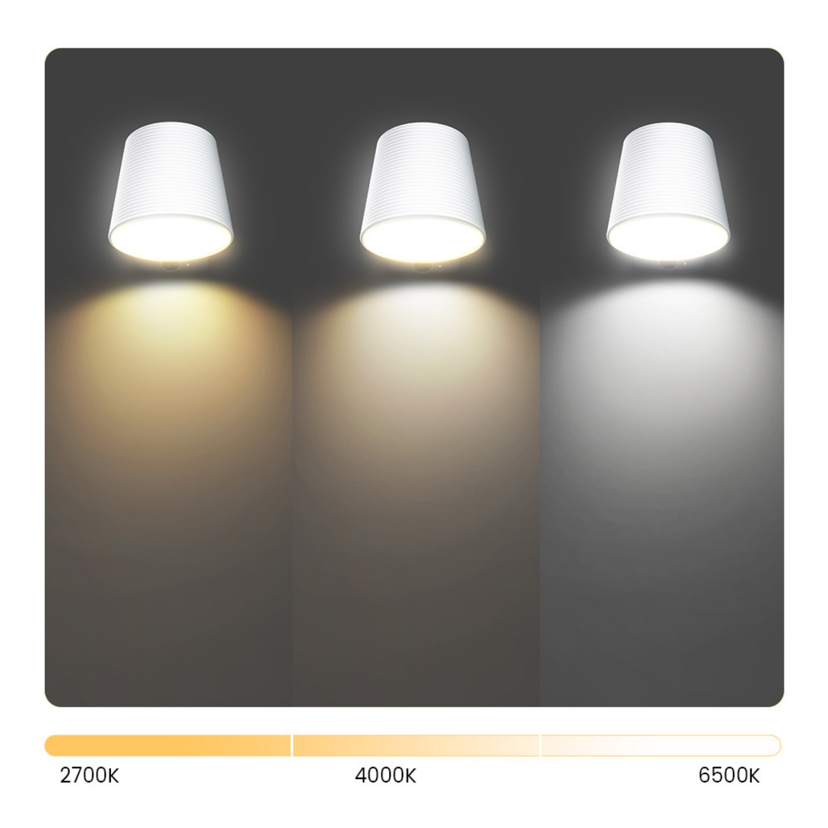 3-IN-1 Garden/Wall Light