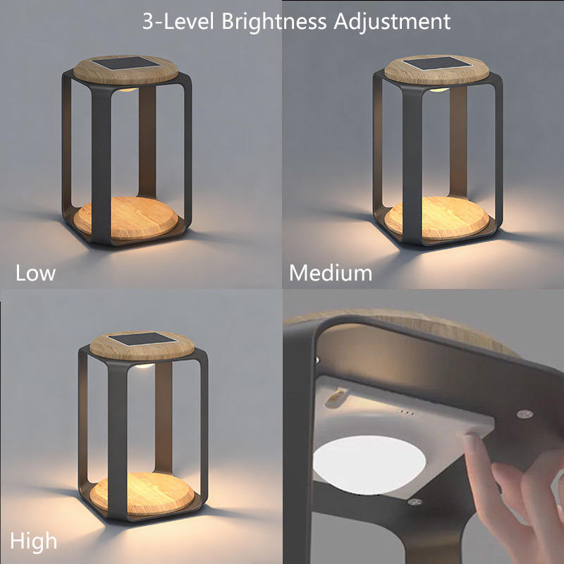 Pegasus Solar LED Lamp