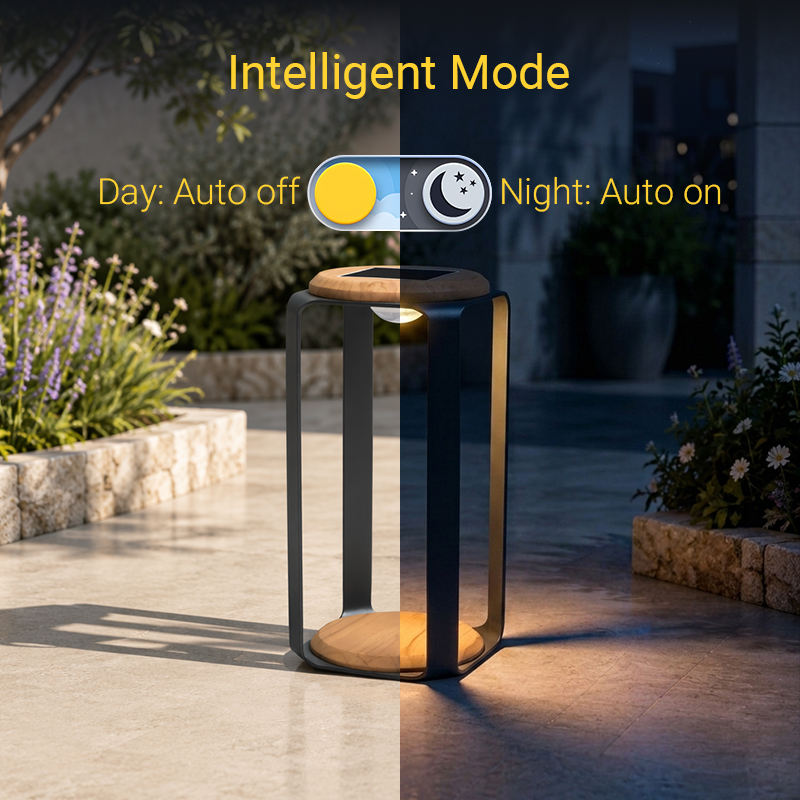 Pegasus Solar LED Lamp