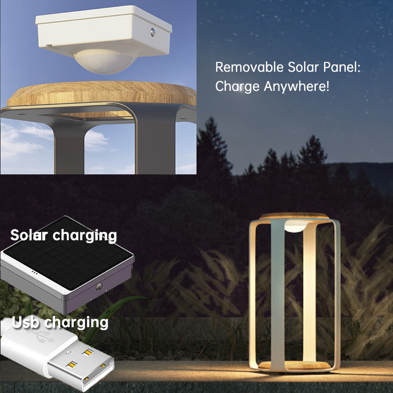 Pegasus Solar LED Lamp