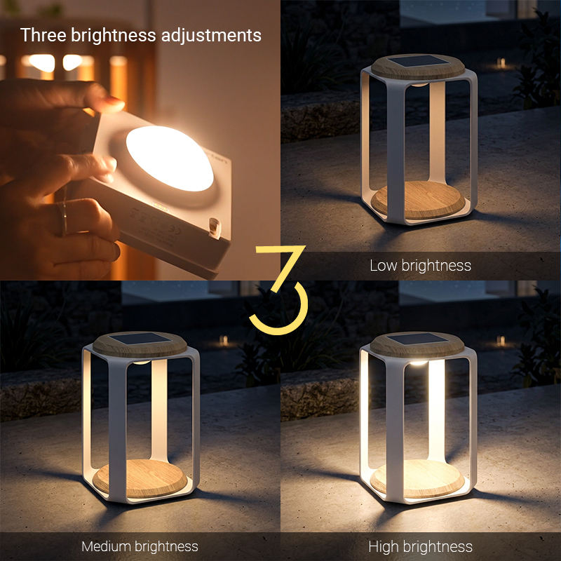 Pegasus Solar LED Lamp