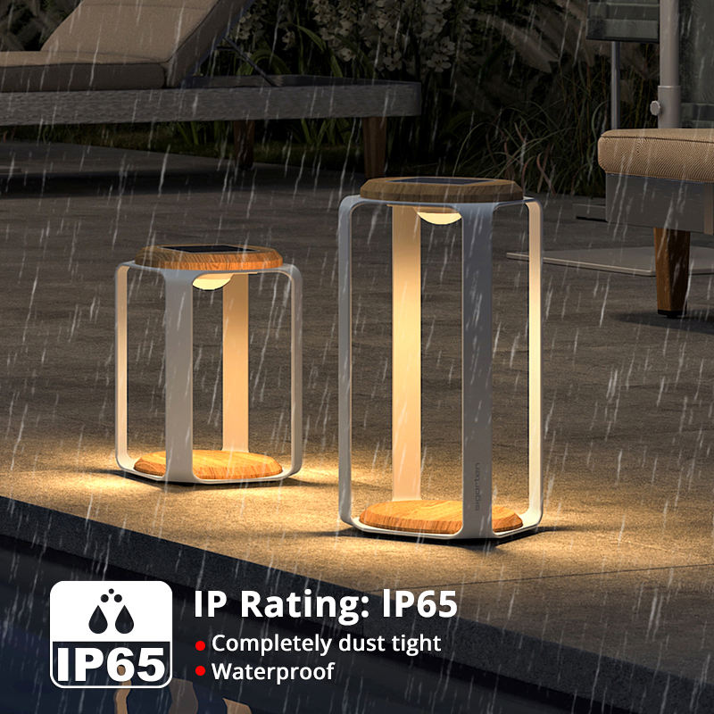 Pegasus Solar LED Lamp