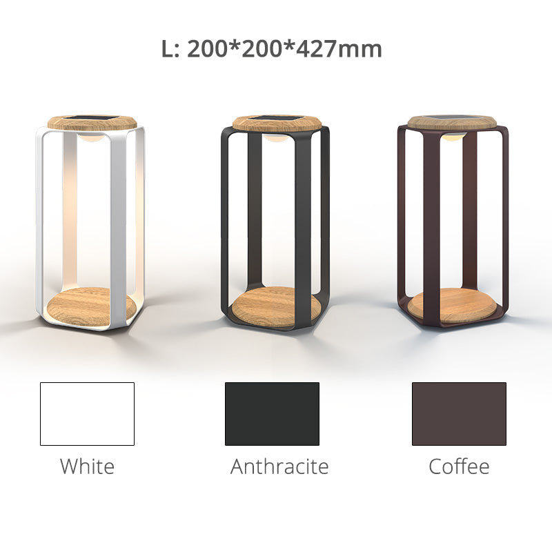 Pegasus Solar LED Lamp