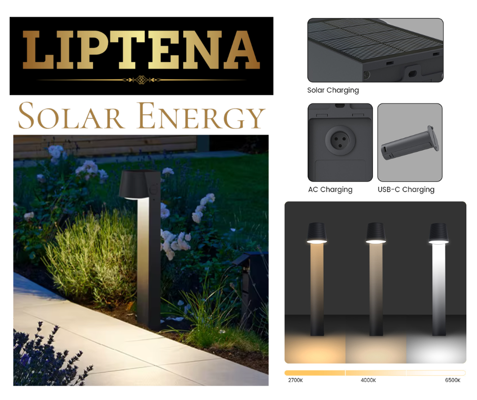 Lampe solaire hybride pour jardin