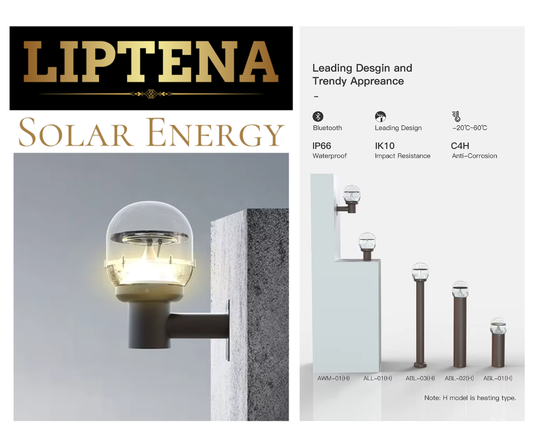 Adjustable Solar Wall Light