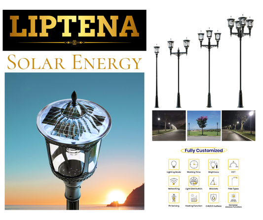 Landscape solar streetlamp