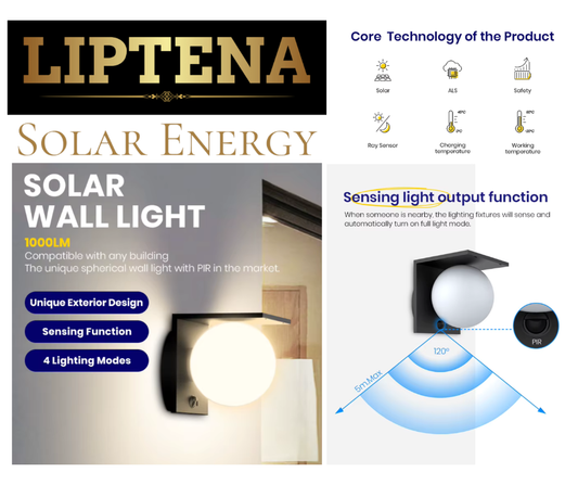 Solar LED Wall Light