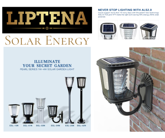 Solar LED Wall Light