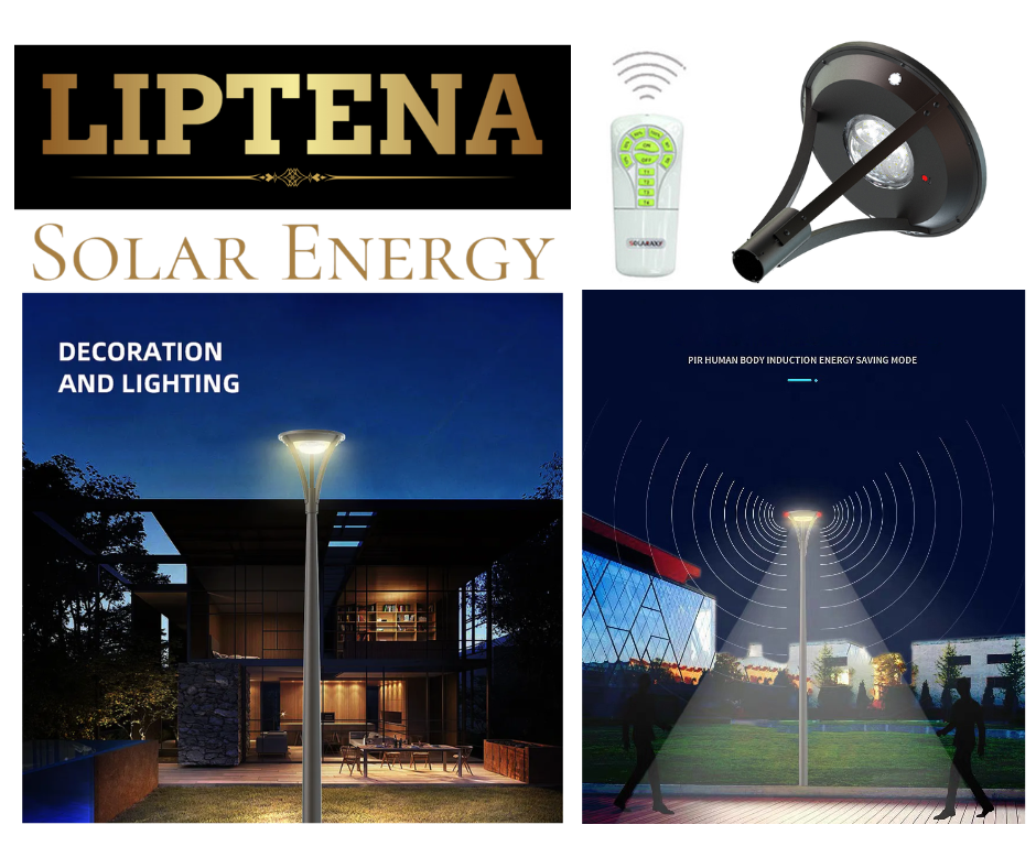 Premium Solar LED Street Light