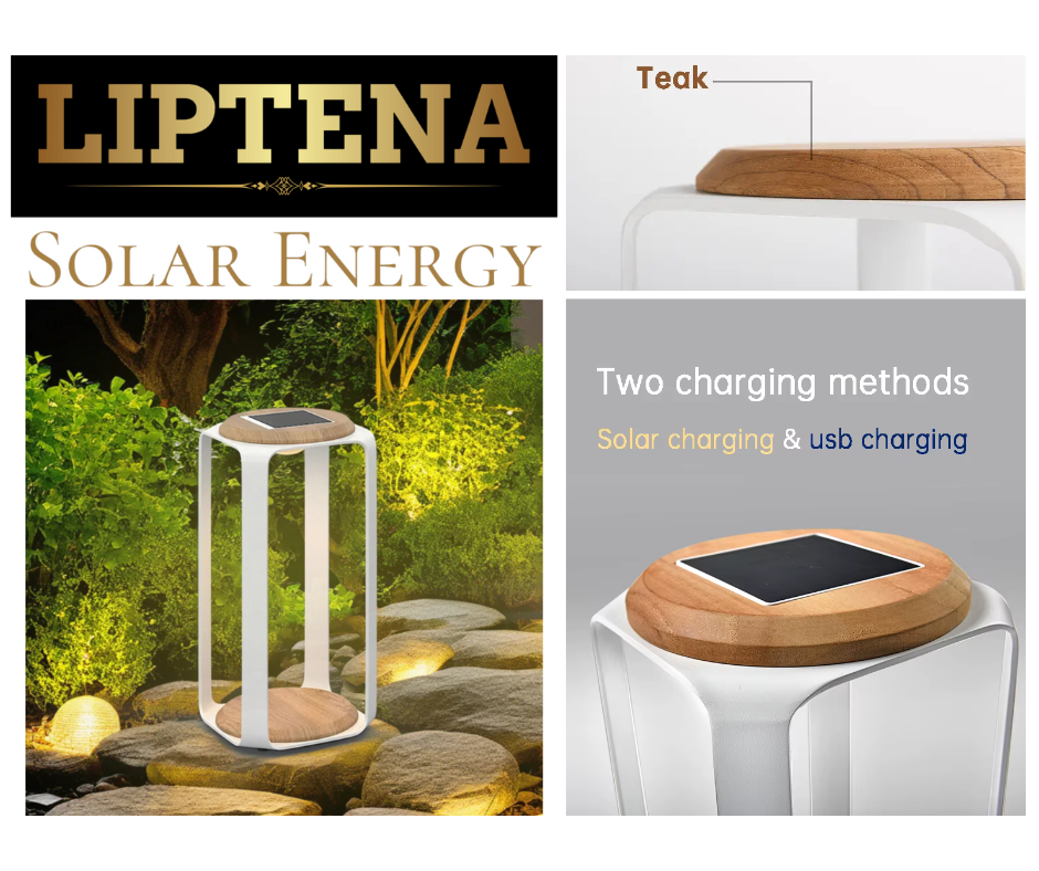 Lampe LED Solaire Jardin
